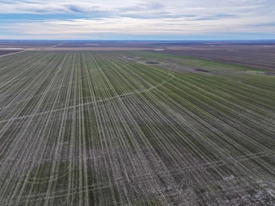 Sansarc Rd, Hayes, SD 57537 - photo 5