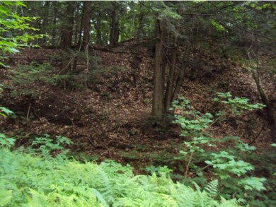 6297 Vt Route 100, Lowell, VT 05847 - photo 6