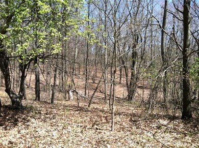 0 N Felch Ave unit 12022318, Sherman Township - Newaygo, MI 49349 - photo 4