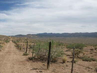 157 Acres - fence line road to property