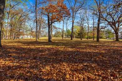 Lot from Mid Point Towards Barn Sunny