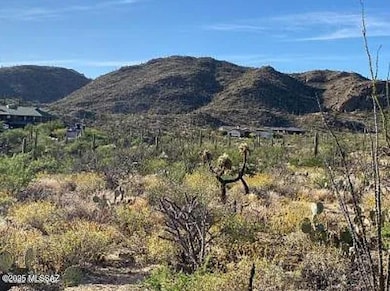 0 N Gibson Trail unit 22529856, Tucson, AZ 85755 - photo 3