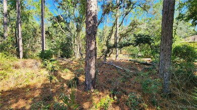 3659 W Lappula Ln, Citrus Springs, FL 34433 - photo 4