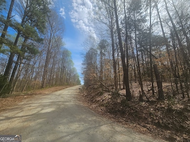 LOT 7 & 8 Gumlog Dr, Gumlog, GA 30553 - photo 4