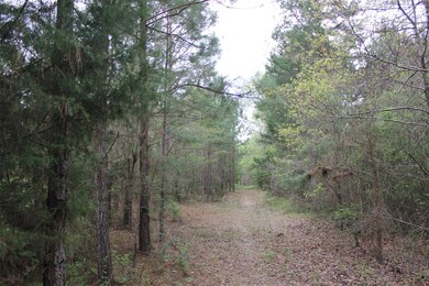 N/A Walton Rd, Nacogdoches, TX 75964 - photo 2