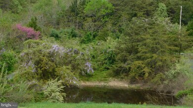 205 Guard Rd, Middletown, VA 22645 - photo 5