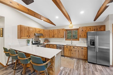 22 Driver Rd, Bailey, CO 80421 - photo 5