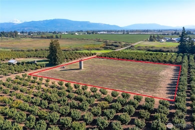 9919 Holmquist Rd, Lynden, WA 98264 - photo 6