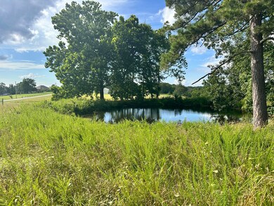 000 Prescott Rd, Kissee Mills, MO 65680 - photo 5