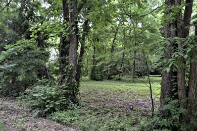 DSC_0003