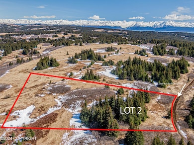 L2 Salin's Spur Rd, Homer, AK 99603 - photo 4