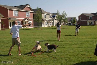 dogs-playing-398.89178193653x0-c-default