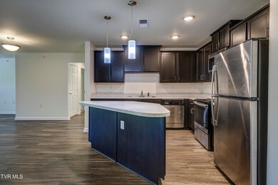 2300 Enterprise Place unit 20-204, Kingsport, TN 37660 - photo 3