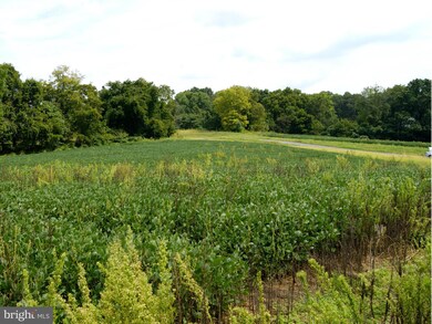 3726 Petersville Rd, Knoxville, MD 21758 - photo 5