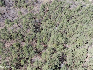 DJI_0509
