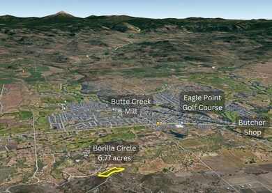Borilla Circle