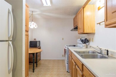 839 Santa Anna Dr, Alamo, TX 78516 - photo 5