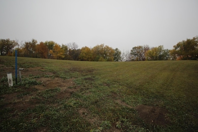 Back of lot looking south