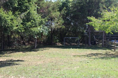 Lovely large back yard