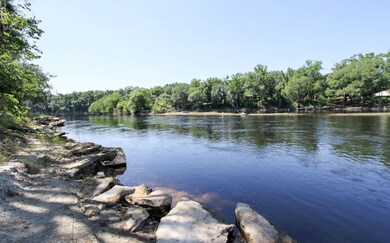 Suwannee River Bank