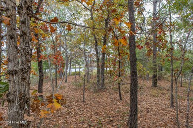 Brick Landing Lot-19