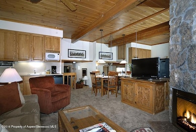 301 E Hyman Ave unit 207 (Wks 28,32,49), Aspen, CO 81611 - photo 7