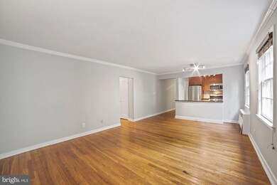 2217 Washington Ave unit 103, Silver Spring, MD 20910 - photo 6
