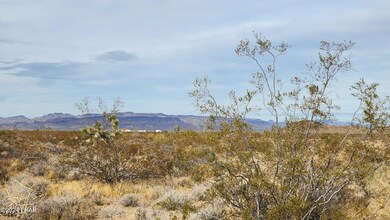 3332 W Yellow Bird Dr, Yucca, AZ 86438 - photo 6