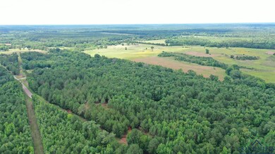 Bird's eye view of a heavily wooded area