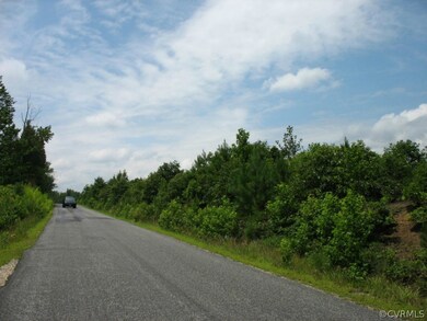 0000 Cool Water Rd, Caroline, VA 22546 - photo 2