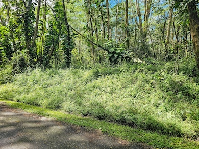 0 Flower Rd unit 717233, Pahoa, HI 96778 - photo 5