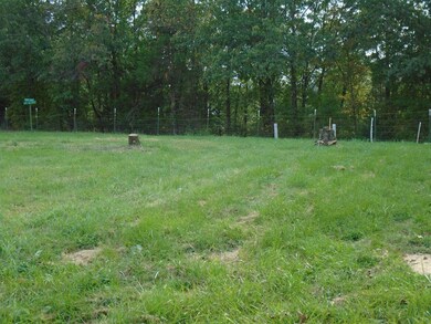 107 Cedar Glade Rd Ozark MO Front Yard
