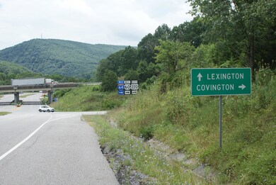 000 Douthat Rd, Clifton Forge, VA 24422 - photo 6