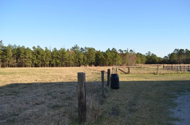 10630 Green Swamp Rd S, Bolton, NC 28423 - photo 4