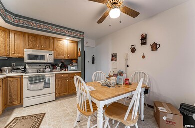 2324 Railsplitter Ave, Lincoln, IL 62656 - photo 7