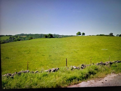 319 Laurel Dr, Jackson, CA 95642 - photo 4