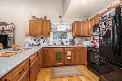 270 W Briggs Rd, Stanton, MI 48888 - photo 7