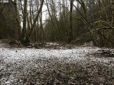 0 Beaver Creek Rd, Sheridan, OR 97378 - photo 4