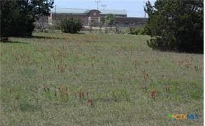 8590 W Trimmier Rd, Killeen, TX 76542 - photo 3