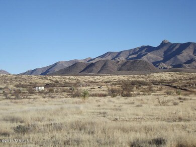 VIEW TO THE NORTH