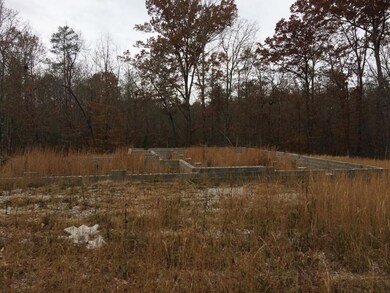 0 Wallace Way unit 194998, Grimsley, TN 38565 - photo 5