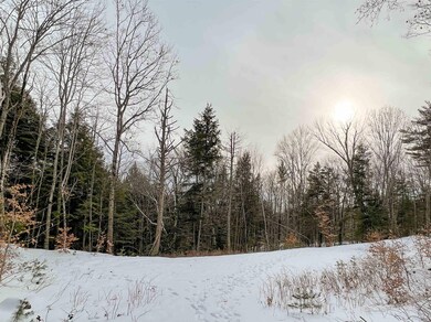 00 Fox Rd unit 18, Madison, NH 03849 - photo 7