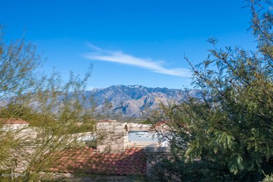 Roof Terrace View