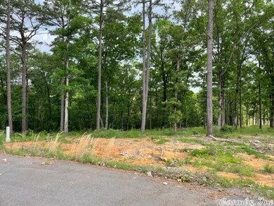 00 Empy Trail Lot 1, Conway, AR 72034 - photo 2