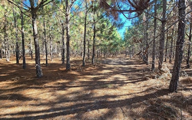 TBD-5 221st Rd, Dowling Park, FL 32060 - photo 7