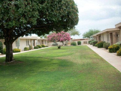 Common area - grass & trees