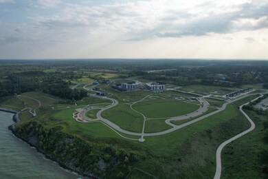 Lake Michigan Bluff Overview