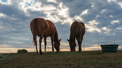 TBD Pop Noah Rd, Collinsville, TX 76233 - photo 6