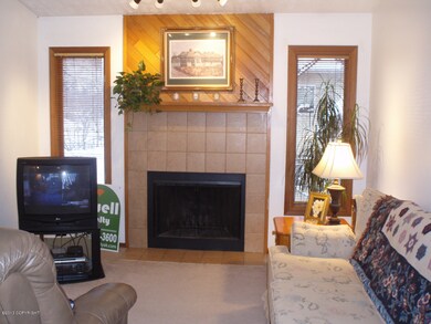 Ssouth facing windows flank fireplace