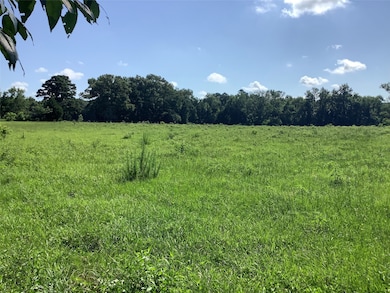 0000 Old Plain Dealing Rd, Benton, LA 71006 - photo 5